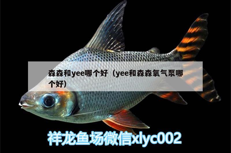 森森和yee哪個(gè)好（yee和森森氧氣泵哪個(gè)好） yee