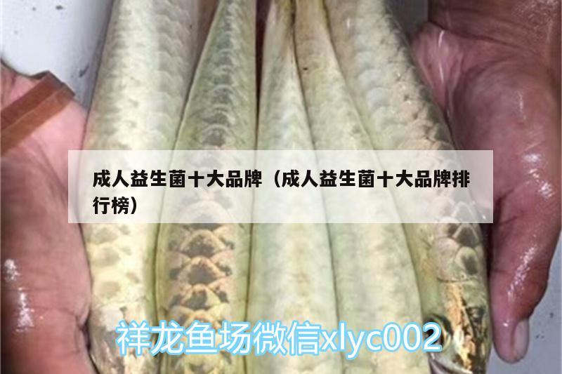 成人益生菌十大品牌（成人益生菌十大品牌排行榜）