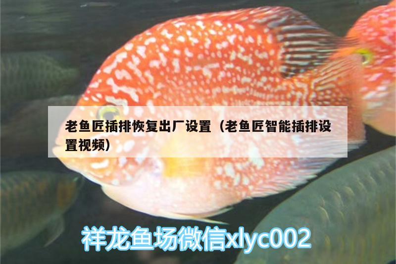 老魚匠插排恢復出廠設(shè)置（老魚匠智能插排設(shè)置視頻） 老魚匠