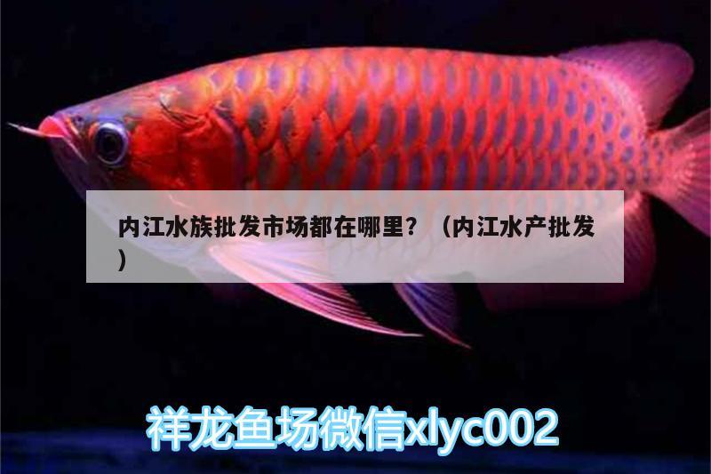 內江水族批發(fā)市場都在哪里？（內江水產批發(fā)） 觀賞魚水族批發(fā)市場