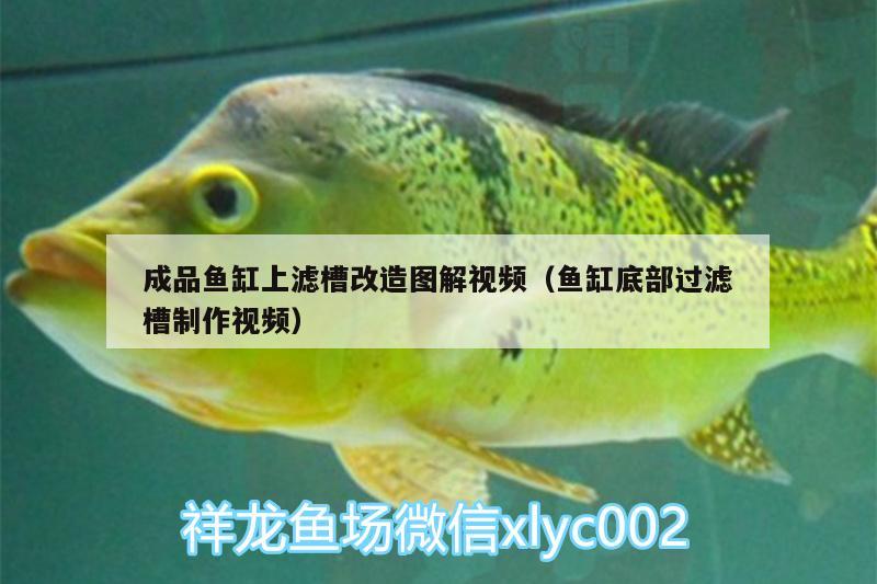 成品魚缸上濾槽改造圖解視頻（魚缸底部過濾槽制作視頻）