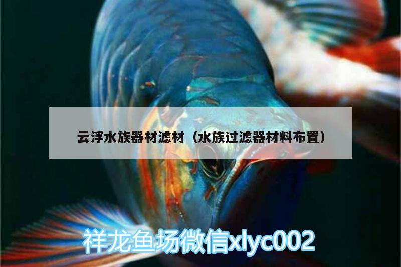 云浮水族器材濾材（水族過濾器材料布置）