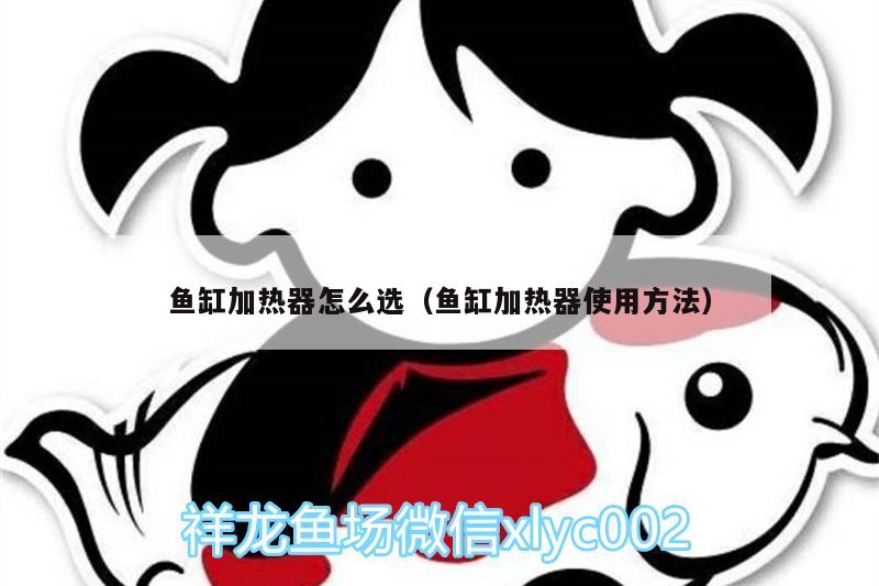 魚缸加熱器怎么選（魚缸加熱器使用方法） 熊貓異形魚L46