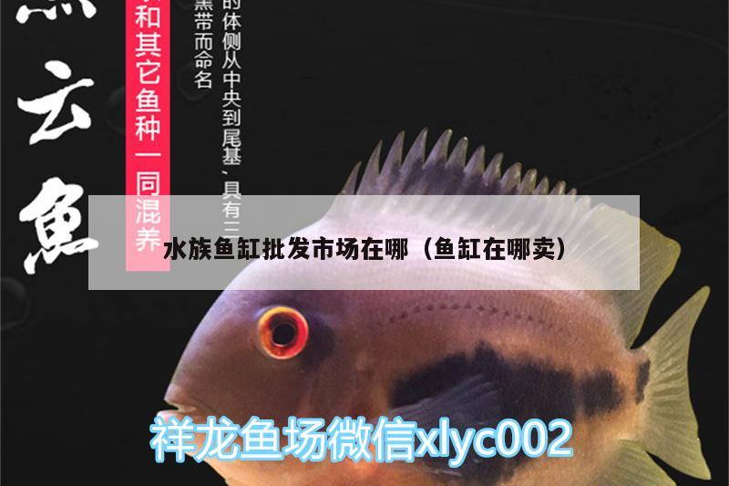 水族魚缸批發(fā)市場(chǎng)在哪（魚缸在哪賣） PH調(diào)節(jié)劑