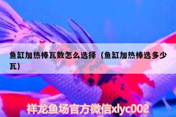 魚(yú)缸加熱棒瓦數(shù)怎么選擇（魚(yú)缸加熱棒選多少瓦）