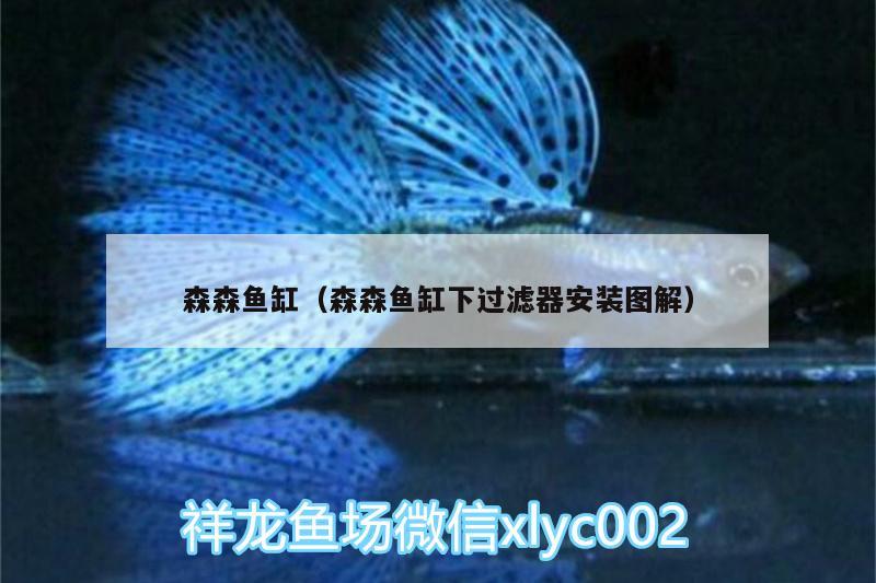 森森魚缸（森森魚缸下過(guò)濾器安裝圖解）