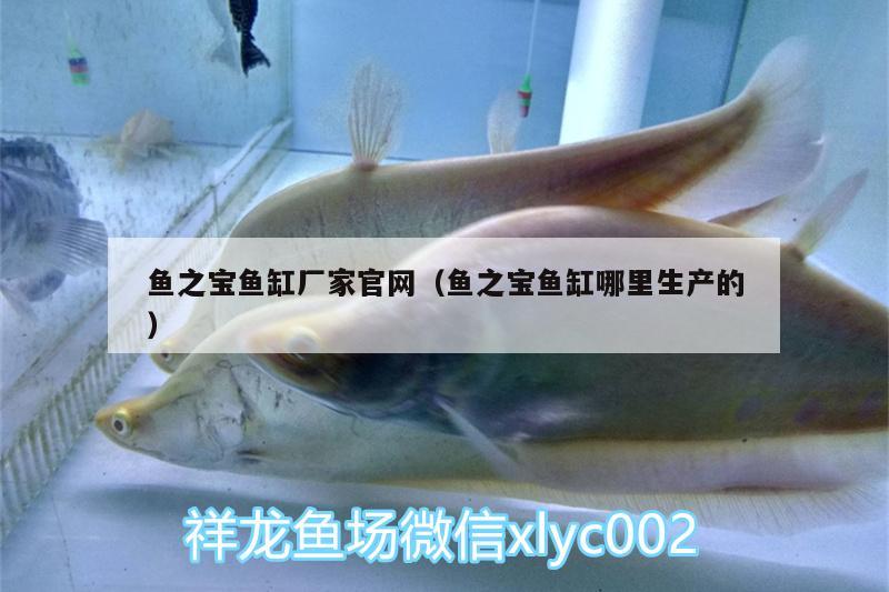 魚之寶魚缸廠家官網(wǎng)（魚之寶魚缸哪里生產(chǎn)的） 高背金龍魚