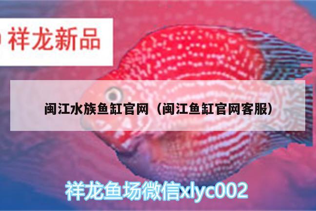 閩江水族魚缸官網(wǎng)（閩江魚缸官網(wǎng)客服） 虎斑恐龍魚