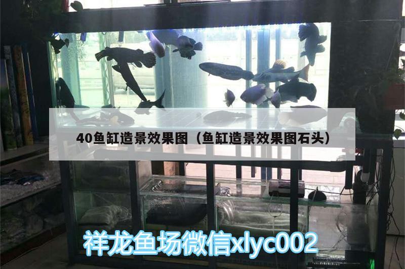 40魚缸造景效果圖（魚缸造景效果圖石頭）