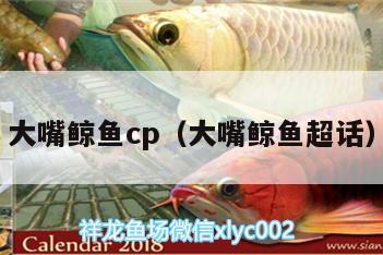 大嘴鯨魚cp（大嘴鯨魚超話）