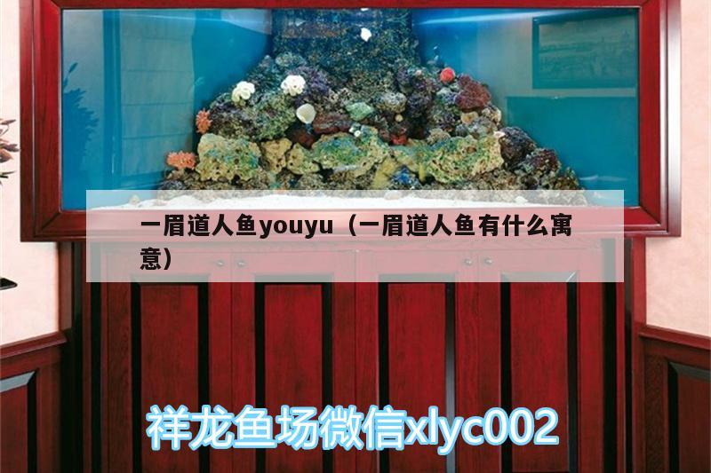 一眉道人魚youyu（一眉道人魚有什么寓意） 一眉道人魚