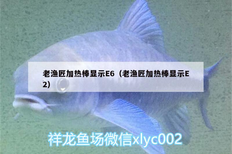 老漁匠加熱棒顯示E6（老漁匠加熱棒顯示E2）