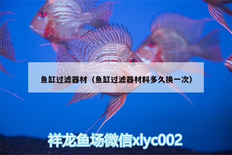 魚(yú)缸過(guò)濾器材（魚(yú)缸過(guò)濾器材料多久換一次） 過(guò)背金龍魚(yú)