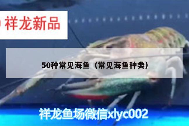 50種常見(jiàn)海魚(yú)（常見(jiàn)海魚(yú)種類）