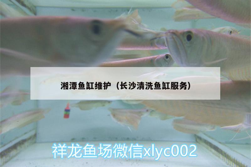 湘潭魚(yú)缸維護(hù)（長(zhǎng)沙清洗魚(yú)缸服務(wù)）