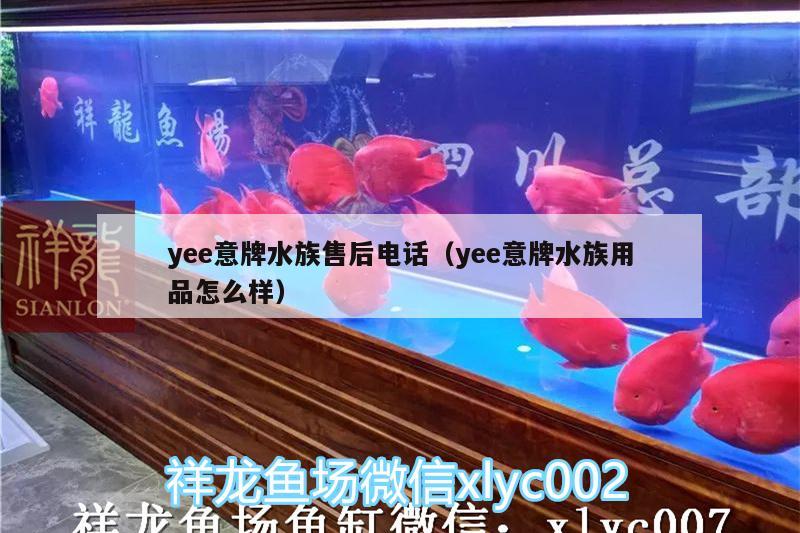 yee意牌水族售后電話（yee意牌水族用品怎么樣）