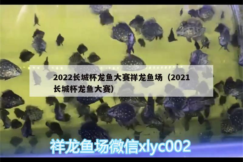 2022長城杯龍魚大賽祥龍魚場（2021長城杯龍魚大賽）