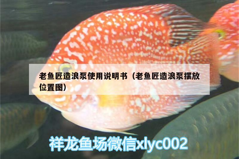 老魚匠造浪泵使用說明書（老魚匠造浪泵擺放位置圖）