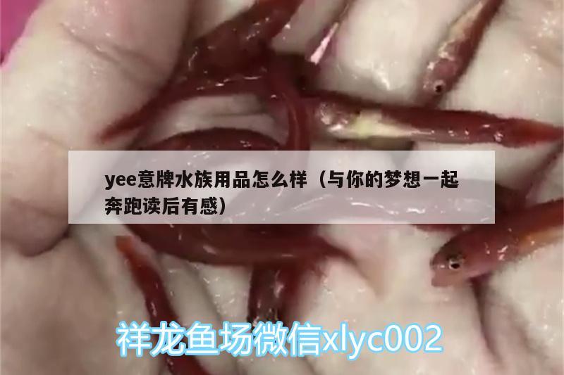 yee意牌水族用品怎么樣（與你的夢(mèng)想一起奔跑讀后有感）