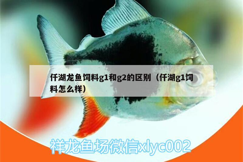 仟湖龍魚飼料g1和g2的區(qū)別（仟湖g1飼料怎么樣）