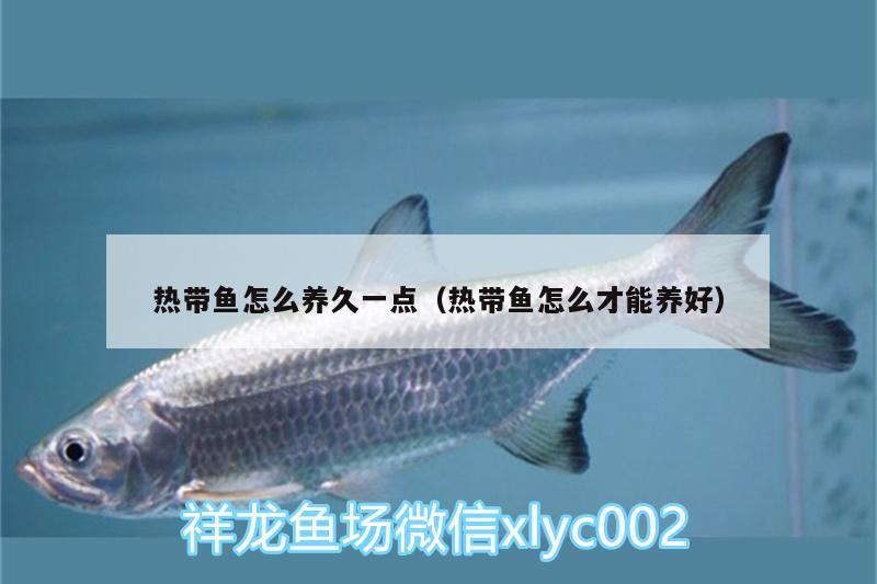 熱帶魚怎么養(yǎng)久一點(diǎn)（熱帶魚怎么才能養(yǎng)好）