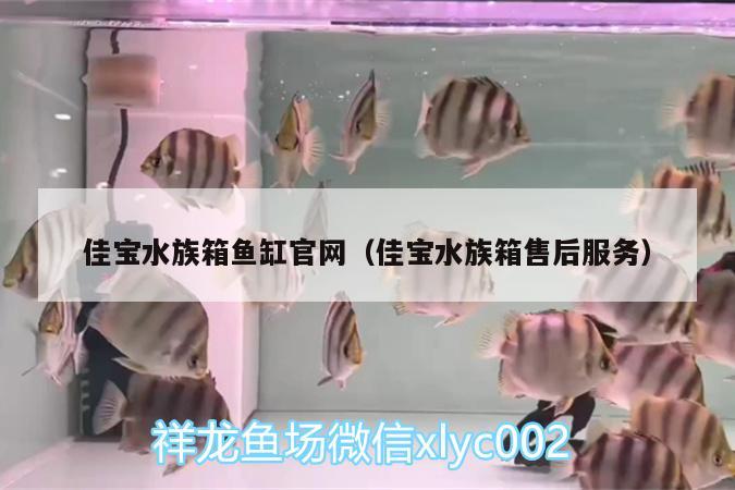 佳寶水族箱魚缸官網(wǎng)（佳寶水族箱售后服務）