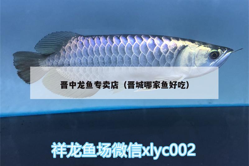 晉中龍魚專賣店（晉城哪家魚好吃）