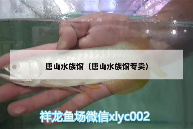 唐山水族館（唐山水族館專賣）