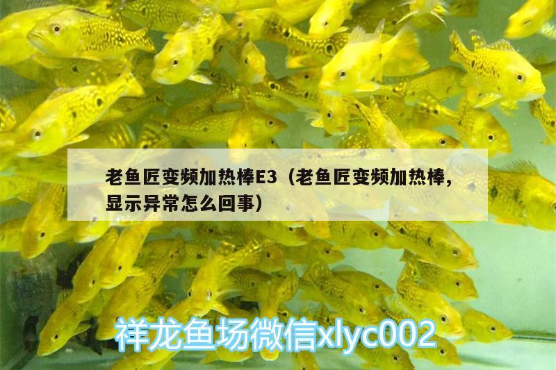 老魚匠變頻加熱棒E3（老魚匠變頻加熱棒,顯示異常怎么回事） 老魚匠