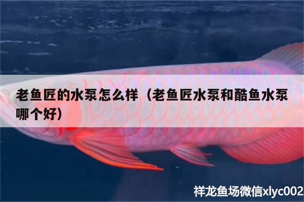 老魚匠的水泵怎么樣（老魚匠水泵和酷魚水泵哪個好）