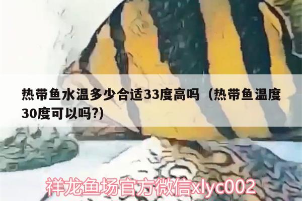 熱帶魚(yú)水溫多少合適33度高嗎（熱帶魚(yú)溫度30度可以嗎?）