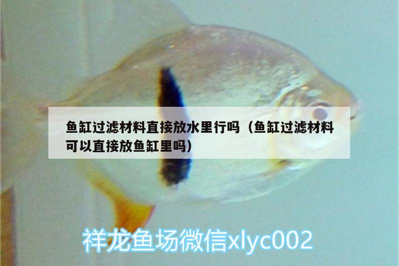 魚缸過濾材料直接放水里行嗎（魚缸過濾材料可以直接放魚缸里嗎） 龍魚芯片掃碼器