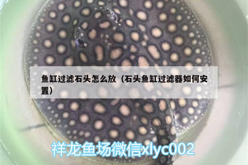 魚缸過濾石頭怎么放（石頭魚缸過濾器如何安置）