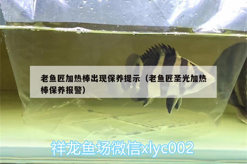 老魚匠加熱棒出現(xiàn)保養(yǎng)提示（老魚匠圣光加熱棒保養(yǎng)報警）