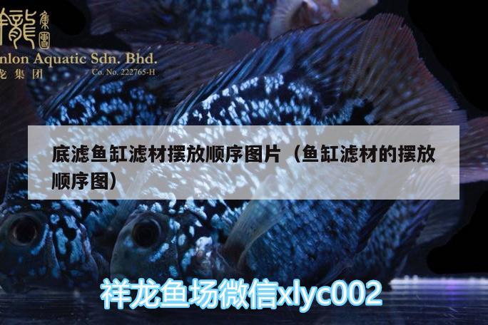 底濾魚缸濾材擺放順序圖片（魚缸濾材的擺放順序圖）