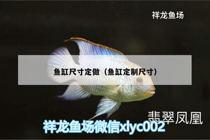 魚缸尺寸定做（魚缸定制尺寸） 觀賞魚批發(fā)