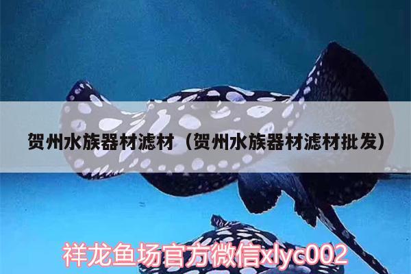 賀州水族器材濾材（賀州水族器材濾材批發(fā)）