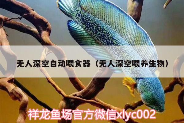 無(wú)人深空自動(dòng)喂食器（無(wú)人深空喂養(yǎng)生物） 喂食器