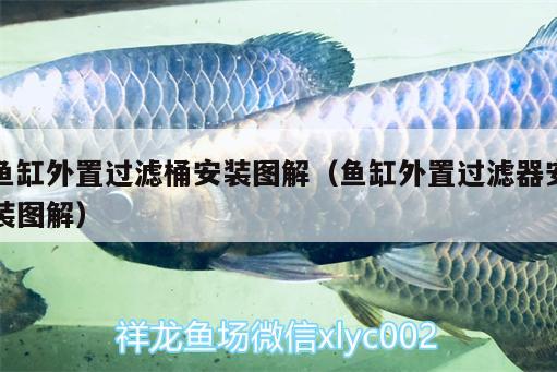 魚缸外置過濾桶安裝圖解（魚缸外置過濾器安裝圖解）