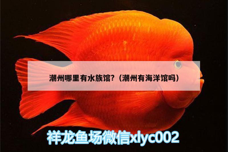 潮州哪里有水族館?（潮州有海洋館嗎） 虎魚百科 第2張