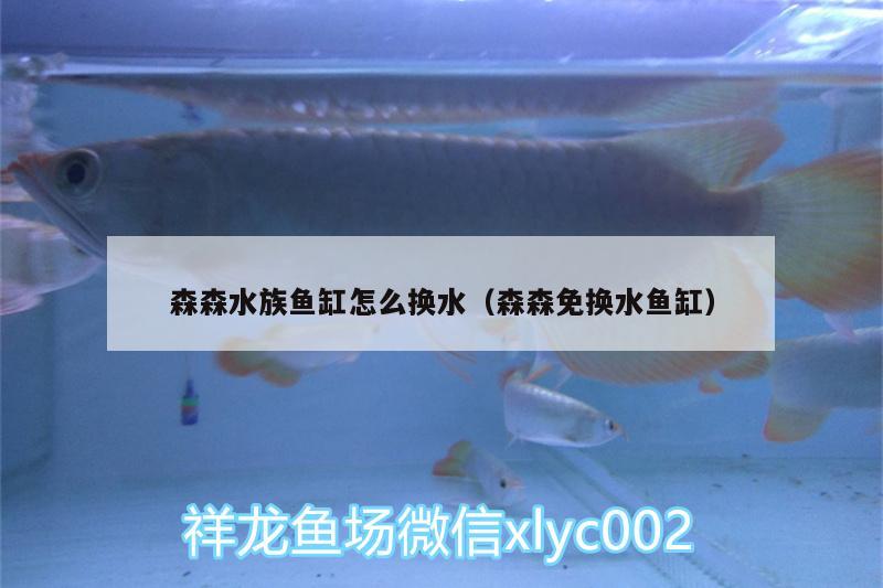 森森水族魚缸怎么換水（森森免換水魚缸）