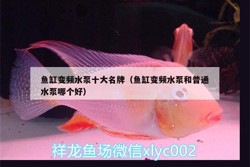 魚缸變頻水泵十大名牌（魚缸變頻水泵和普通水泵哪個好）