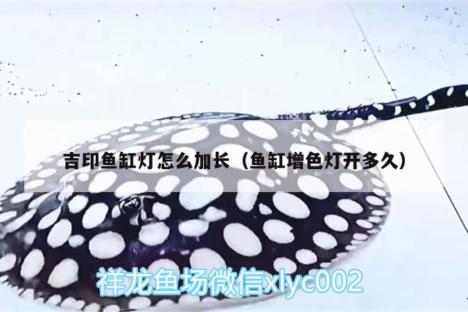 吉印魚缸燈怎么加長（魚缸增色燈開多久） 吉印水族