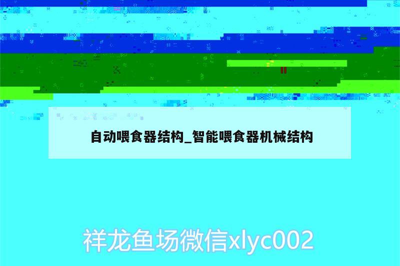 自動喂食器結(jié)構(gòu)_智能喂食器機械結(jié)構(gòu) 喂食器