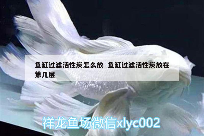 魚缸過濾活性炭怎么放_魚缸過濾活性炭放在第幾層 觀賞魚飼料