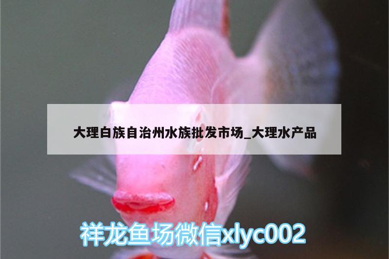 大理白族自治州水族批發(fā)市場_大理水產(chǎn)品 觀賞魚水族批發(fā)市場