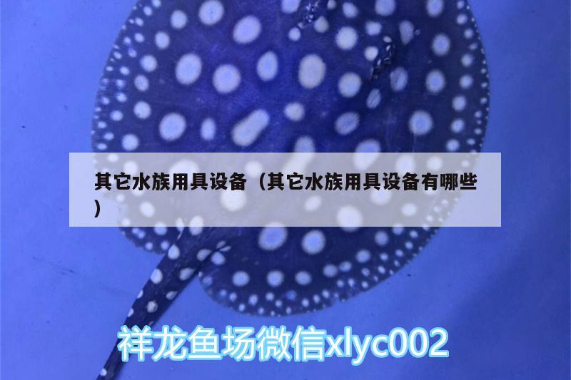 其它水族用具設(shè)備（其它水族用具設(shè)備有哪些） 申古銀版魚