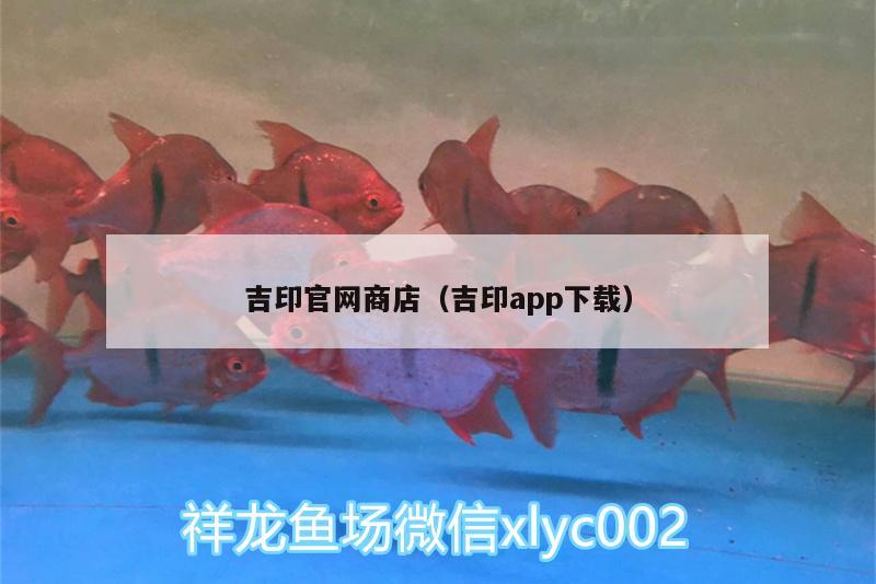 吉印官網(wǎng)商店（吉印app下載） 吉印水族