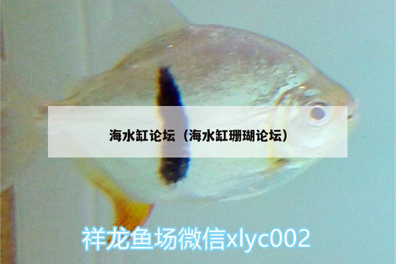 海水缸論壇（海水缸珊瑚論壇）