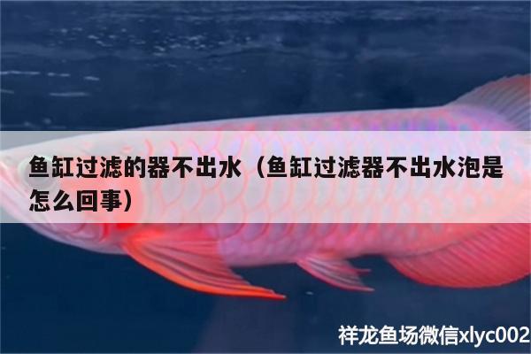 魚(yú)缸過(guò)濾的器不出水（魚(yú)缸過(guò)濾器不出水泡是怎么回事） 金三間魚(yú)